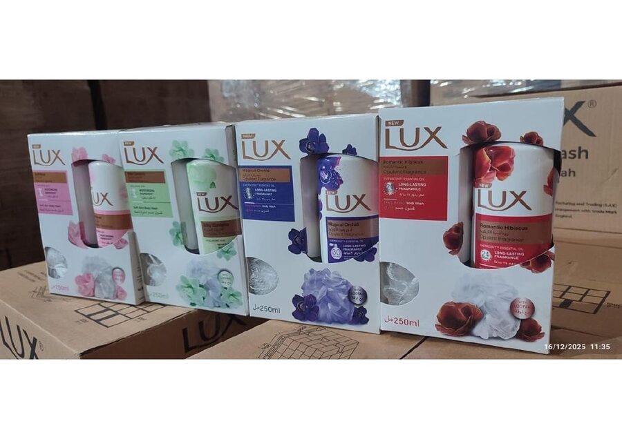 Lux Body Wash – Assorted Variants